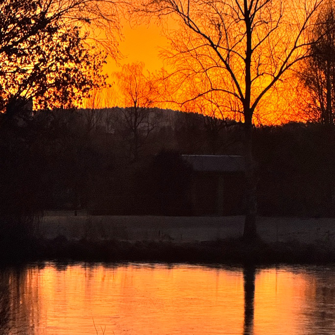 Leuchtender Abendhimmel, Sonnenuntergang, Spieglung im See, Umrisse der Bäume