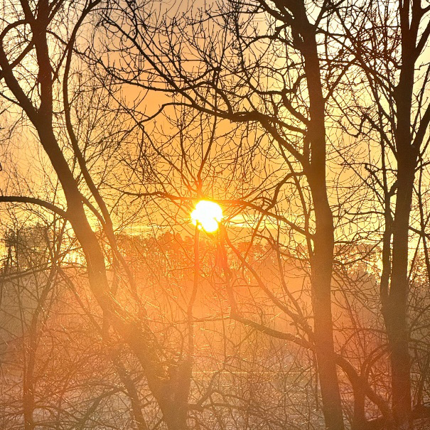 Sonnenuntergang im Wald