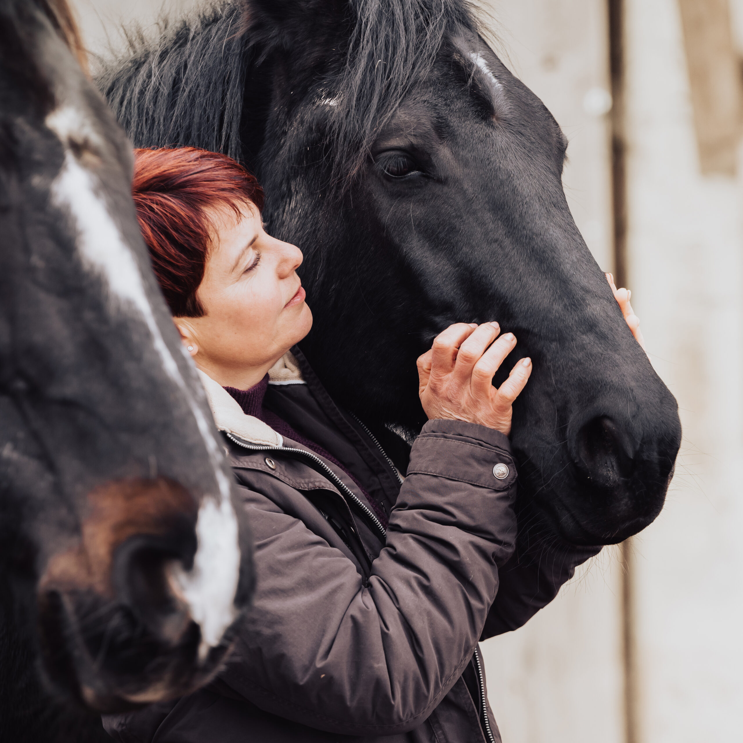 Diana Neu und ihre Pferde